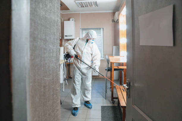 Best Biohazard Mold Removal  in Briarcliff Manor, NY
