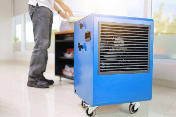 Best Airborne Mold Testing  in Briarcliff Manor, NY