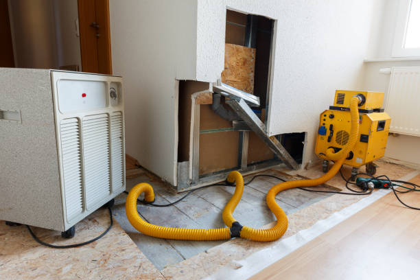 Best Attic Mold Removal  in Briarcliff Manor, NY