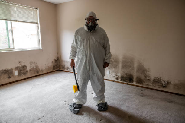Best Asbestos and Lead Testing During Mold Inspection  in Briarcliff Manor, NY