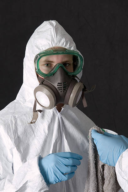Best Mold Removal for HVAC Installations  in Briarcliff Manor, NY